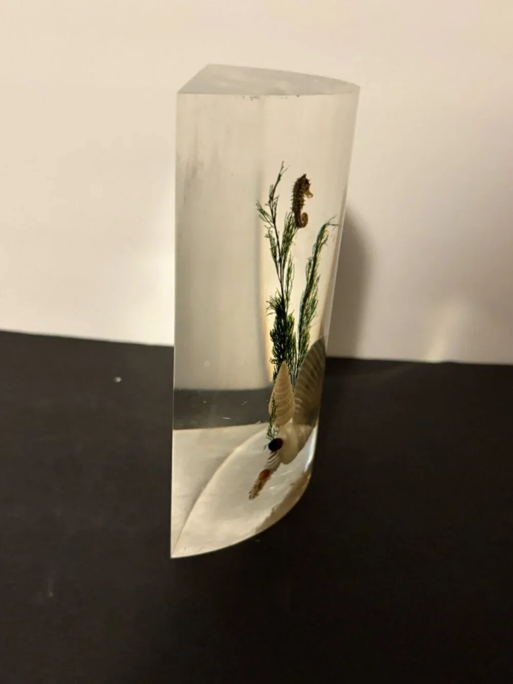 Vintage Acrylic Clear Float Seashell Single Bookend